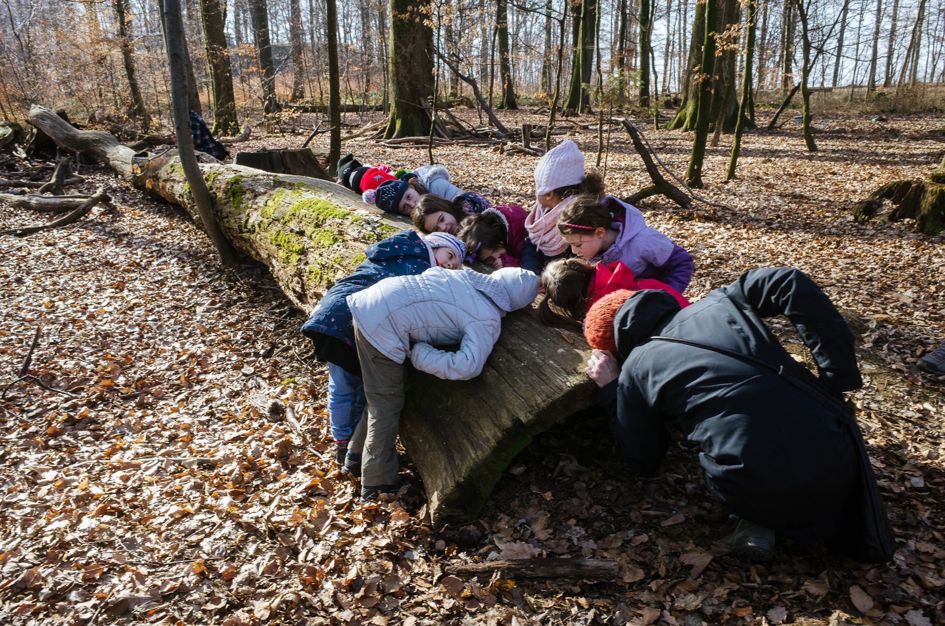 Formation franco-suisse pour enseignants 