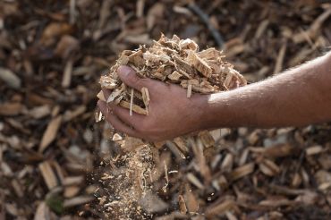 Journée Forêt et changement climatique : quelle adaptation pour la filière bois de l’Arc jurassien franco-suisse ?