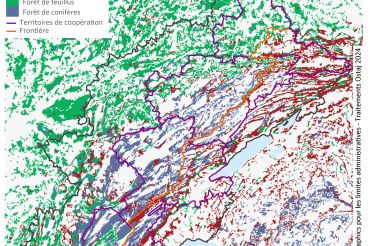 L'OSTAJ présente sa nouvelle étude sur la filière forêt-bois le 28 janvier