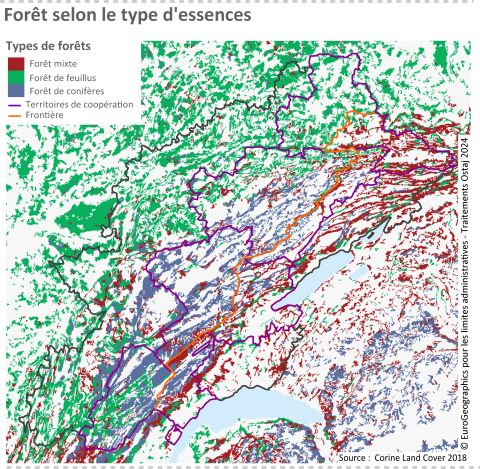 Figure 1: Forêt selon le type d&apos;essences