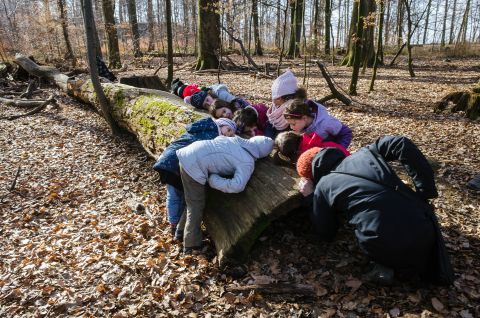 Formation franco-suisse pour enseignants 